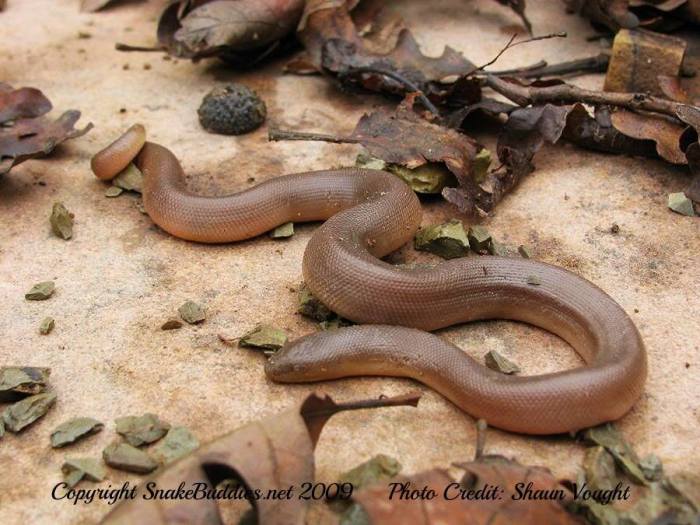 10352987_692386870820777_2739160565667376758_n