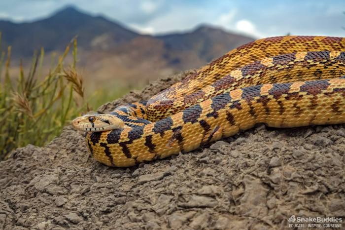 13123117_1127434333982693_6885937303492911337_o