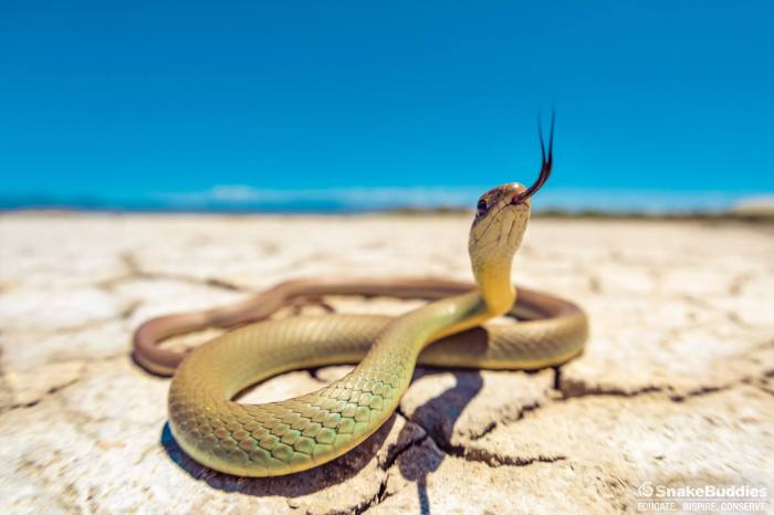 13443270_1157923157600477_3252535355689684046_o